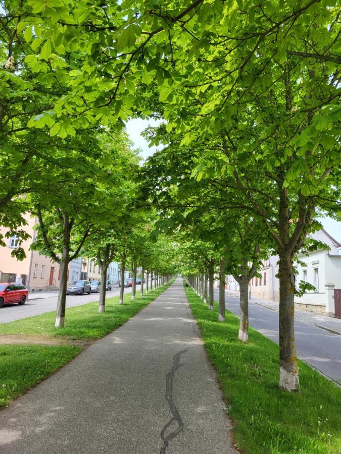 Apartment Alleeblick Ballenstedt