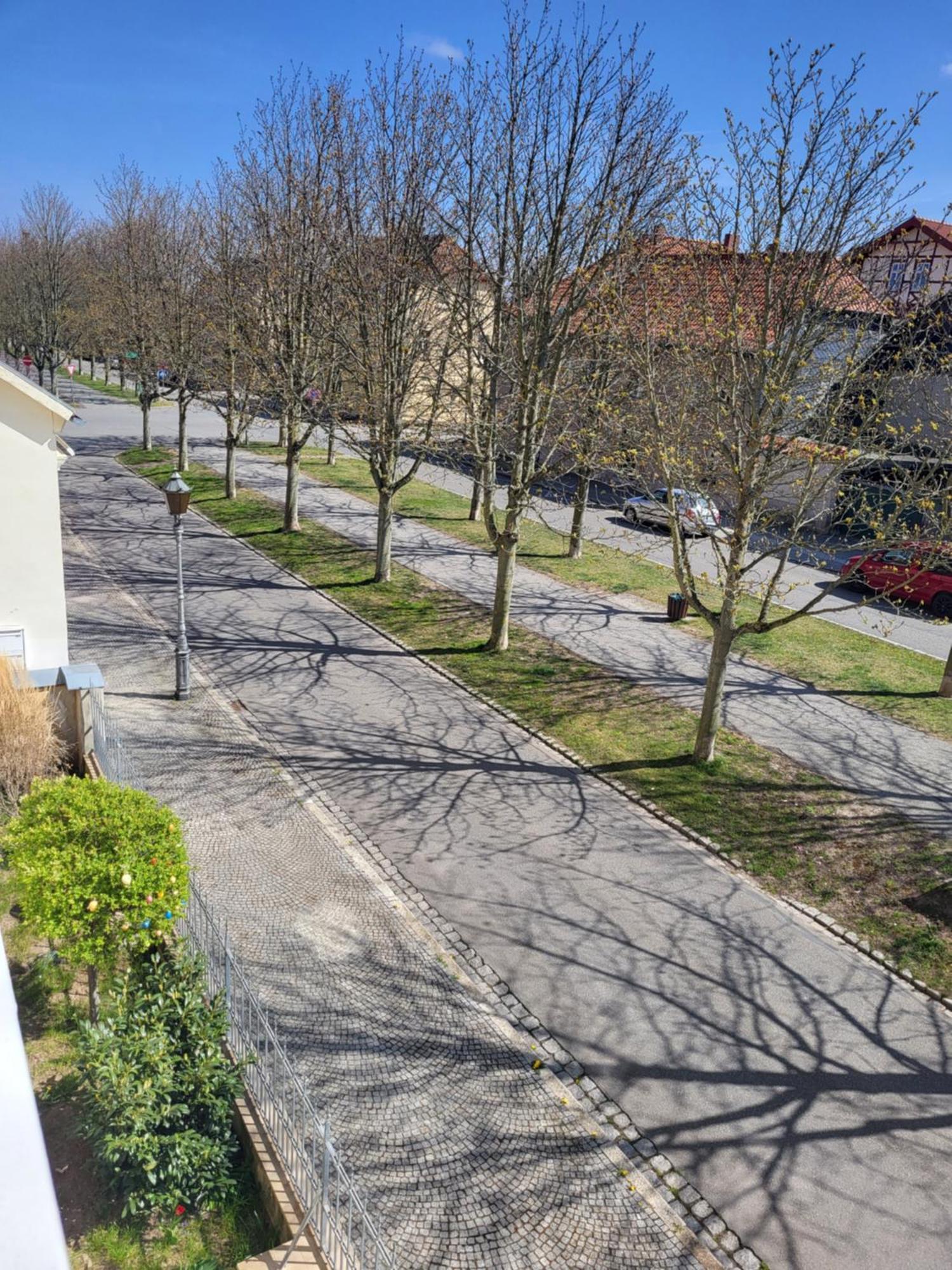 Alleeblick Apartment Ballenstedt